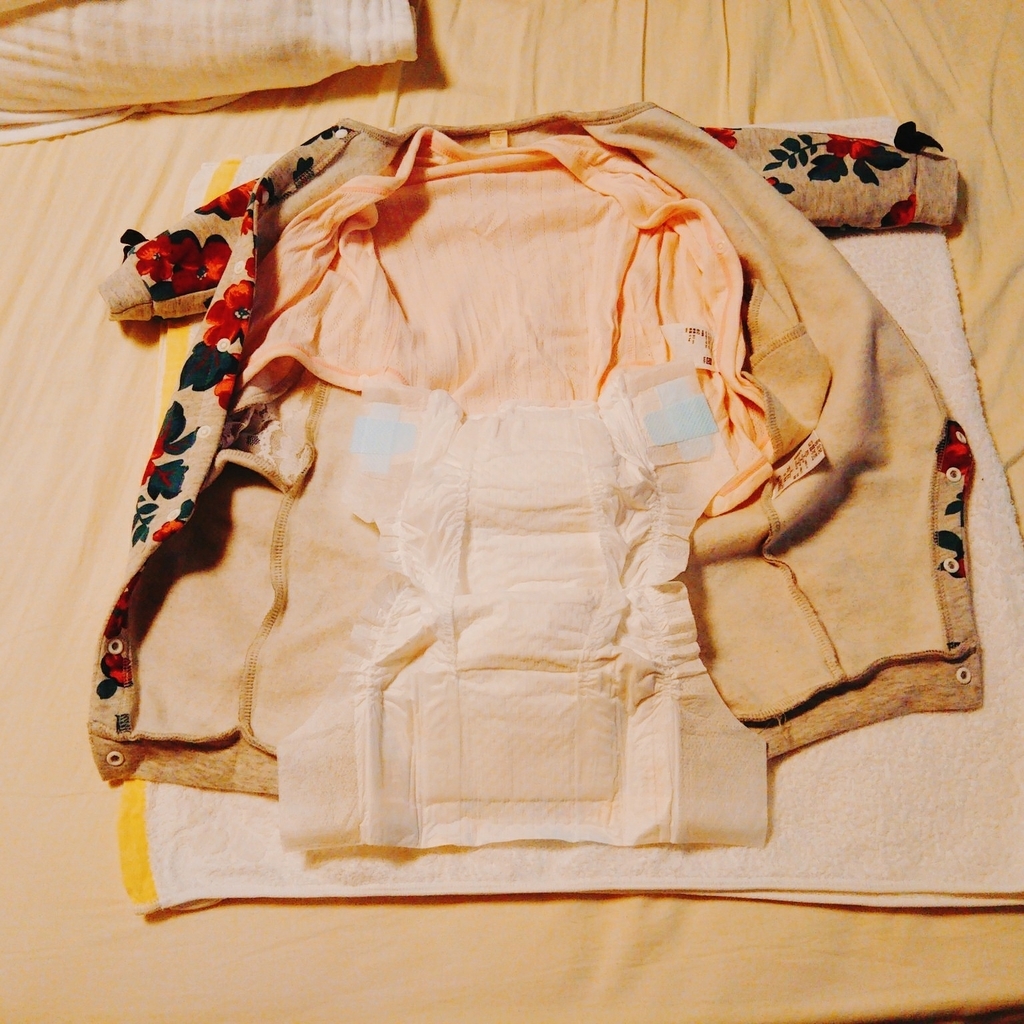 f:id:amashinkun:20181116211348j:plain