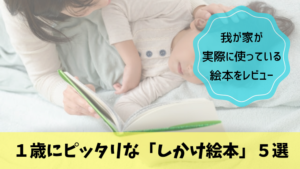 １歳向けの「しかけ絵本」おすすめ５冊をレビュー！